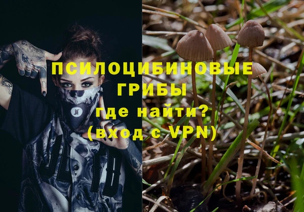 спиды Кодинск