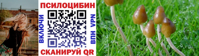 Купить где  Азнакаево  Галлюциногенные грибы MAGIC MUSHROOMS 